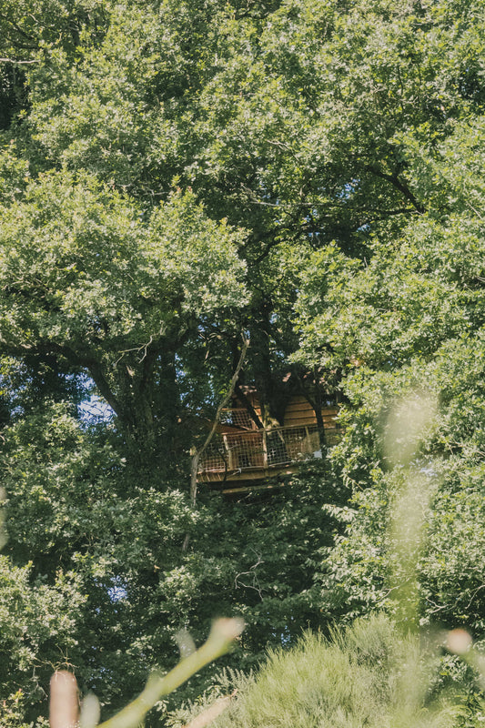 Une nuitée étoilée pour quatre