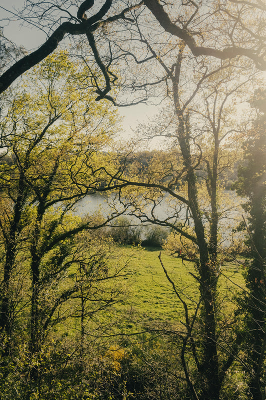 Deux nuitées étoilées pour deux